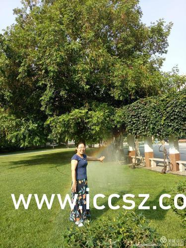 日韩国产精品视频入口,独家入口带你领略视听盛宴