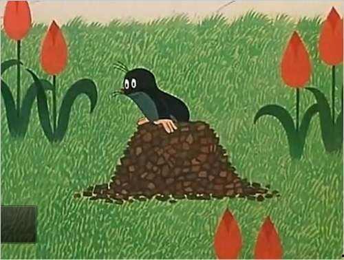 国产鼹鼠挖土视频,高效作业背后的科技力量