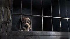 萌宠国产动画片大全视频,国产动画片大全精彩回顾