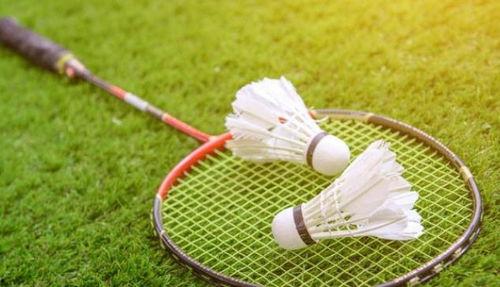国产球拍测评羽毛球视频,性能与性价比的完美结合