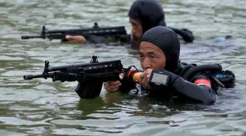 国产枪械步枪射击视频播放,弹道精准，力与美的完美结合