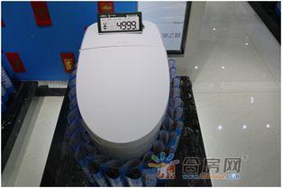 国产早期抢马桶盖视频,揭秘早期抢购背后的故事