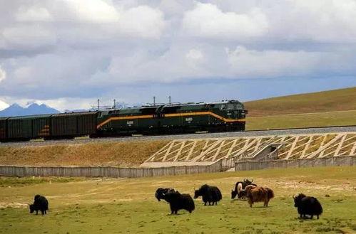 青藏铁路国产火车视频