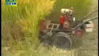 小麦收割机视频国产版,高效收割，助力农业现代化