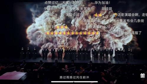 外媒评测国产凡尔赛视频