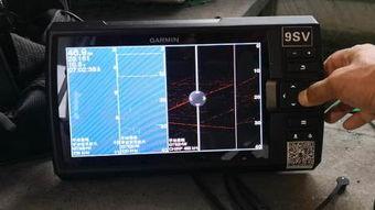 国产sv免费视频,揭秘国内短视频平台的魅力与挑战